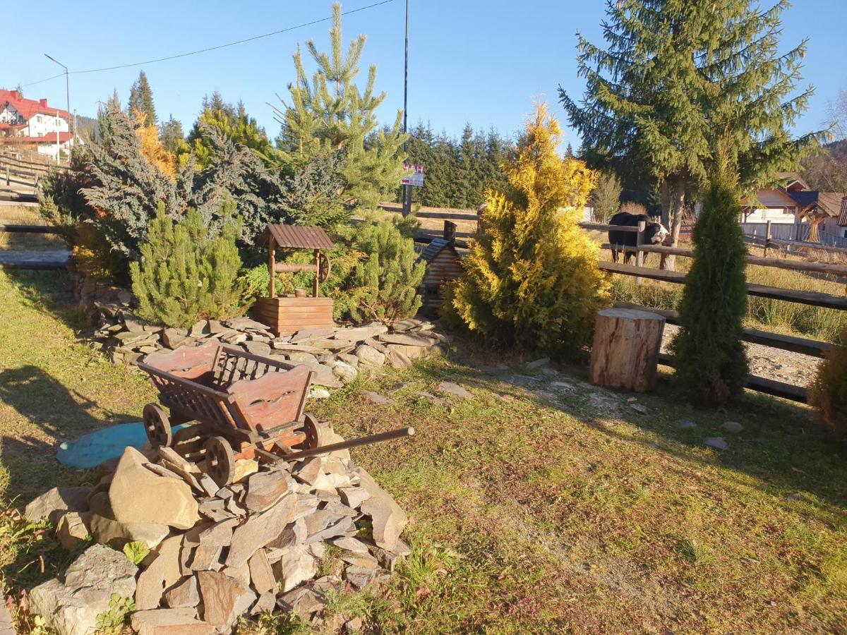 Chalet 888 Cottages Palyanytsya Exterior foto