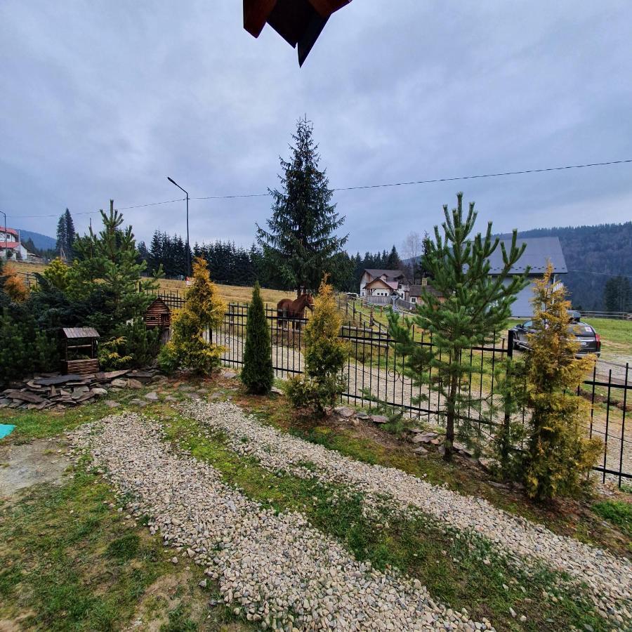 Chalet 888 Cottages Palyanytsya Exterior foto
