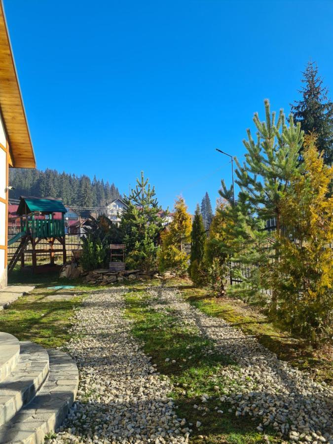 Chalet 888 Cottages Palyanytsya Exterior foto