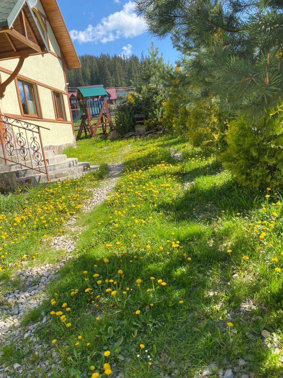 Chalet 888 Cottages Palyanytsya Exterior foto